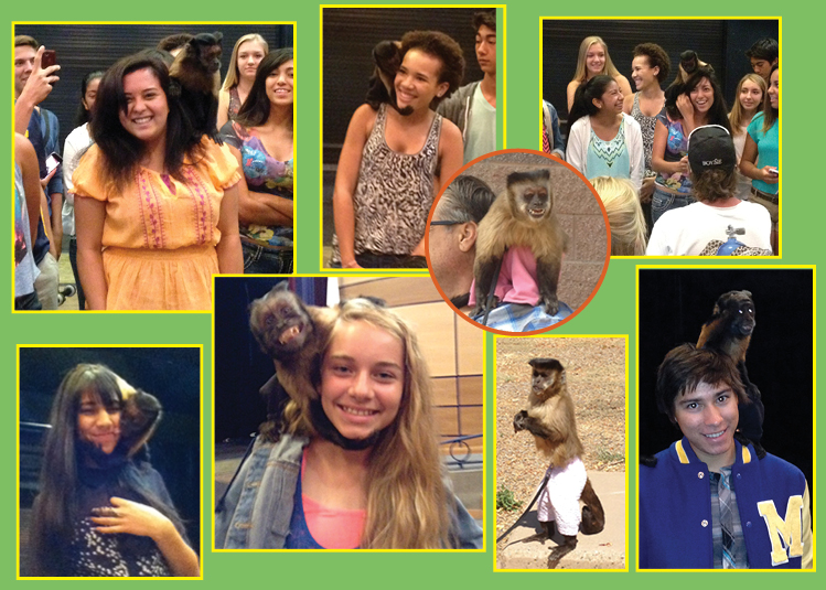 Bratty Model's teen actors for movie "GIBBY" <br> Part 2 "Crystal the Monkey"
